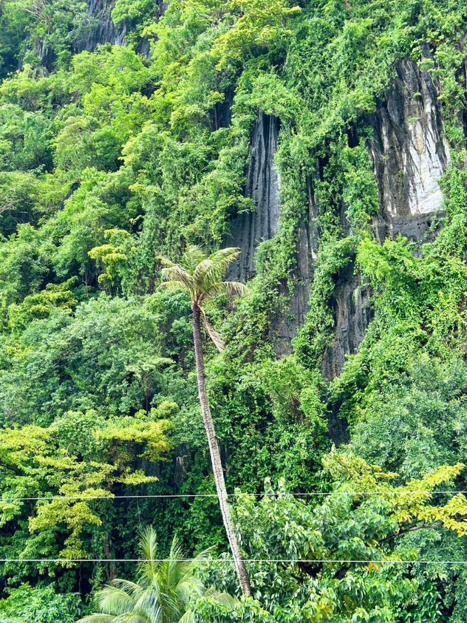 Mayad El Nido Inn Buitenkant foto